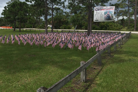 hundreds of american flags in a square formation in grass